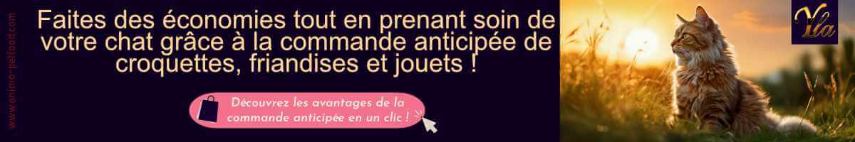 chats-croquettes-friandises-jouets-promo
